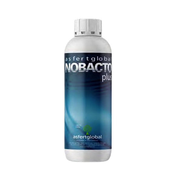 Nobacto